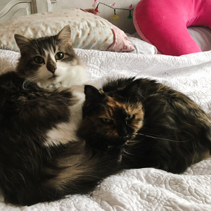 Fundraising Page: Lindsay and Dahlia Gehring